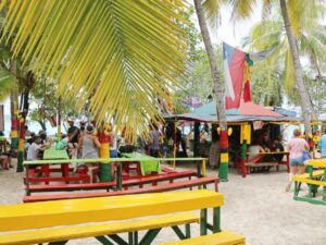 5 Tours en 1 : Johnny Cay , Acuario Haynes Cay, Bahia y manglares