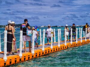 4 Tours en 1 : Acuario , Haynes Cay, Avistamiento y Manglares