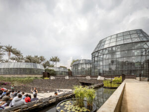 Recorrido Ecológico por el Jardín Botánico de Bogotá