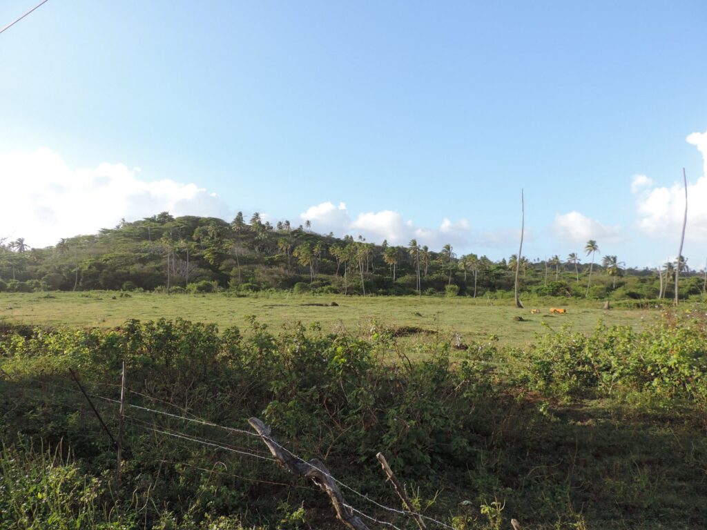 Recorrido a Caballo por Playa y Zona Rural de San Andrés