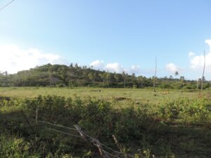 Recorrido a Caballo por Playa y Zona Rural de San Andrés
