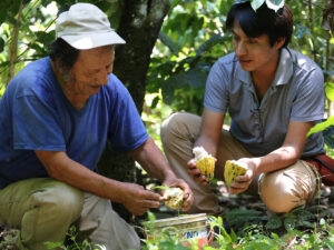 Tour a Minca con Cascada Escondida, Taller del Cafe y del Cacao