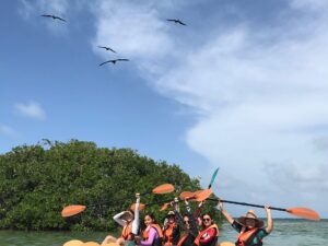 Tour Completo en Kayak Trasparente en los Manglares de San Andres