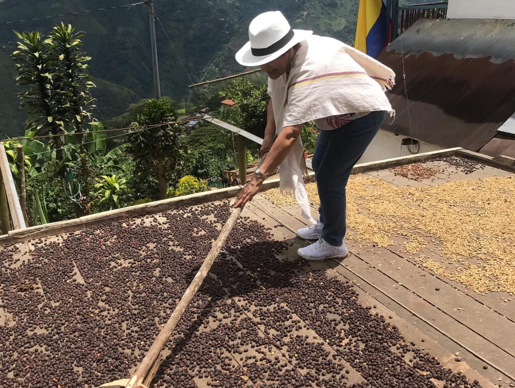 Excursion en Caballo y Tour del Cafe con Almuerzo y Refrigerio
