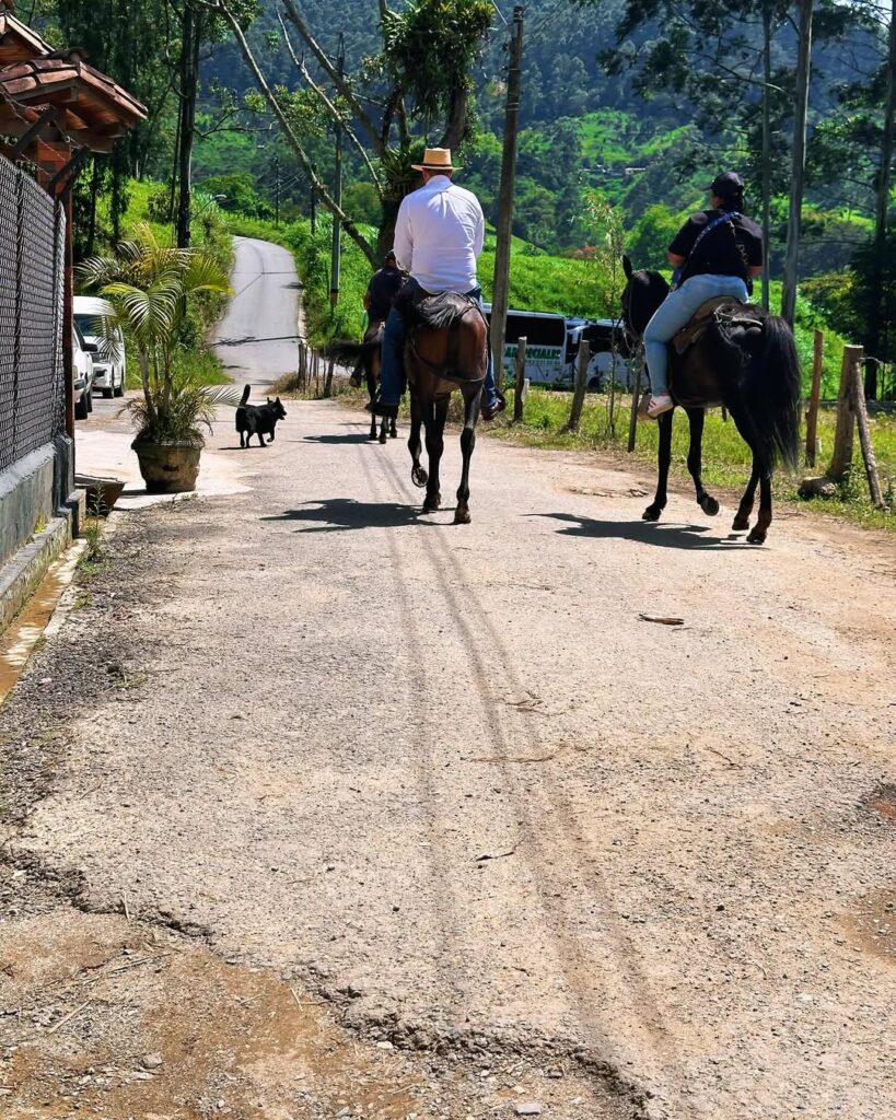 Cabalgata Privada por los Paisajes de Medellin con Transpote