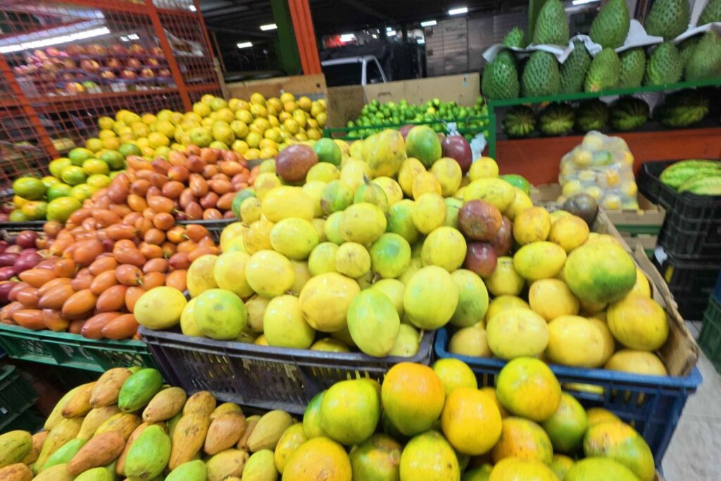 Tour de Frutas Exoticas con mas de 10 Degustaciones en Medellin