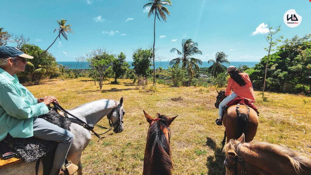 Recorrido a Caballo por Playa y Zona Rural de San Andrés