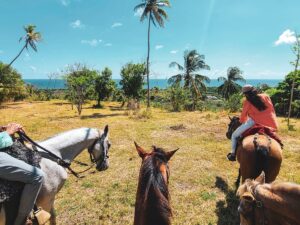 Recorrido a Caballo por Playa y Zona Rural de San Andrés