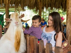 Tour Dia Completo al Parque Panaca con Desayuno y Almuerzo