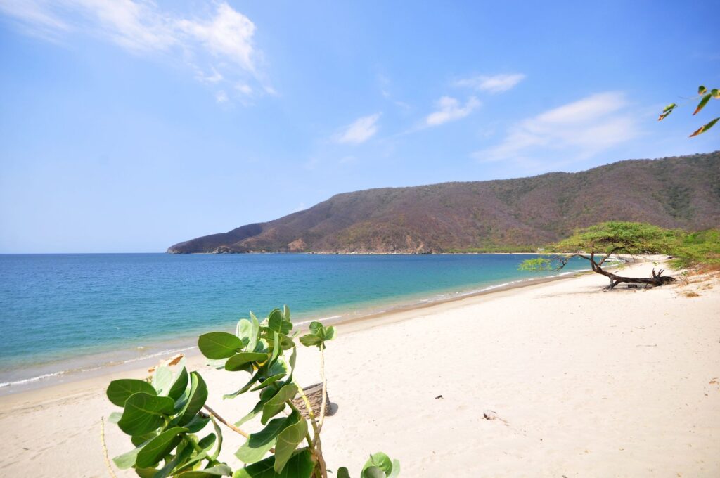 Tour Día Completo a la Playa de Bahia Concha en el Parque Tayrona