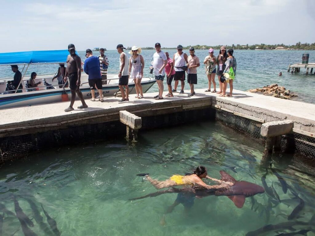 Visita 3 Islas Top: Mucura, Tintipan y Santa Cruz desde Cartagena