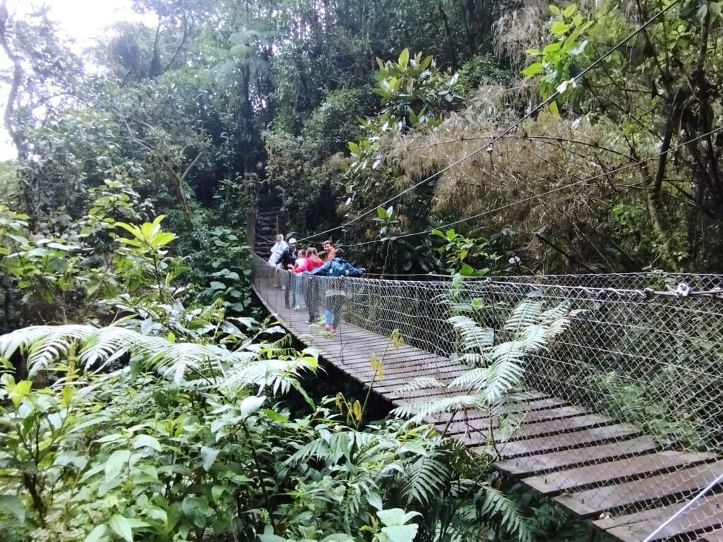 Caminata a La Chorrera: La Cascada Más Alta de Colombia