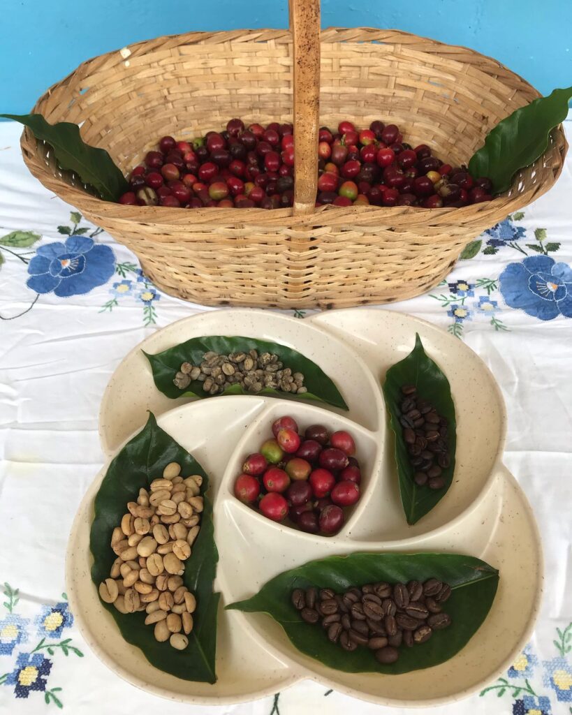 Excursion en Caballo y Tour del Cafe con Almuerzo y Refrigerio