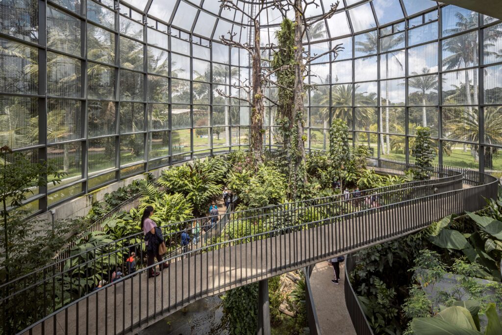 Recorrido Ecológico por el Jardín Botánico de Bogotá