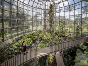 Recorrido Ecológico por el Jardín Botánico de Bogotá