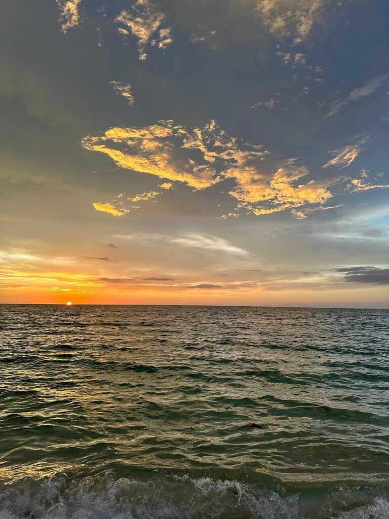 Atardecer y Plancton Luminoso con Cena en Playa Tranquila Baru