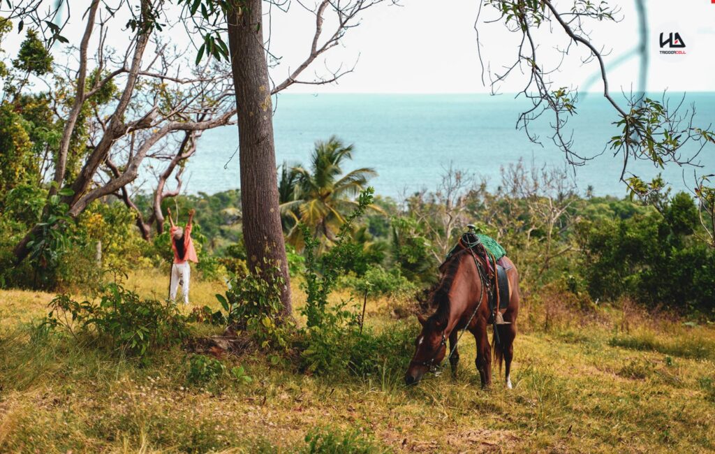 Recorrido a Caballo por Playa y Zona Rural de San Andrés