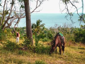 Recorrido a Caballo por Playa y Zona Rural de San Andrés
