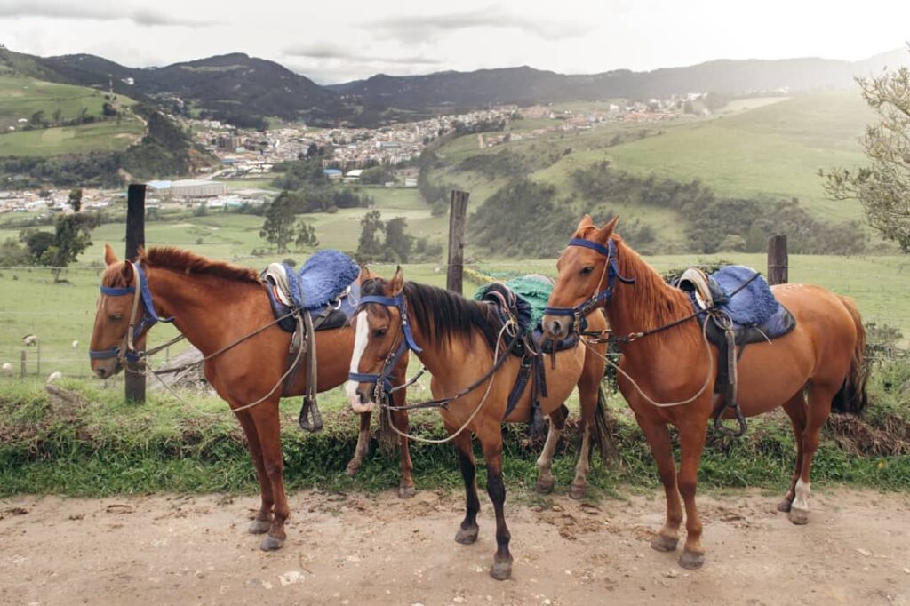 Tour en Caballo por las Montañas y Paisajes de La Calera