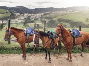Tour en Caballo por las Montañas y Paisajes de La Calera