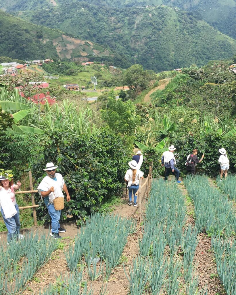 Excursion en Caballo y Tour del Cafe con Almuerzo y Refrigerio