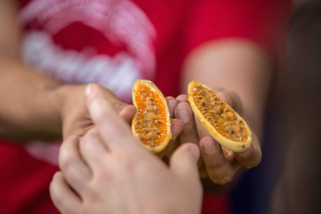 Tour de Frutas Exoticas con mas de 10 Degustaciones en Medellin