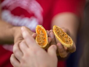 Tour de Frutas Exoticas con mas de 10 Degustaciones en Medellin