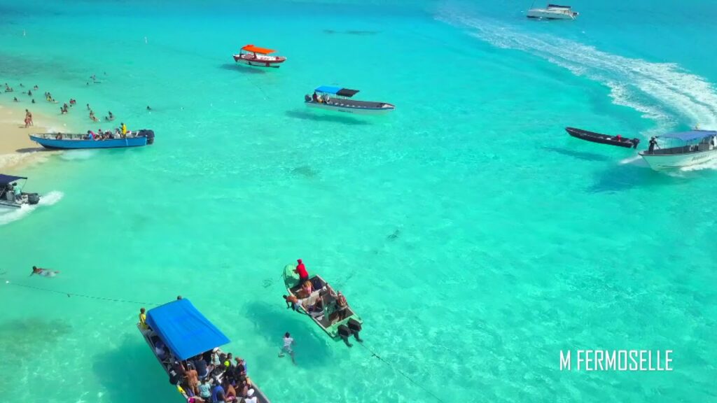 5 Tours en 1 : Johnny Cay , Acuario Haynes Cay, Bahia y manglares
