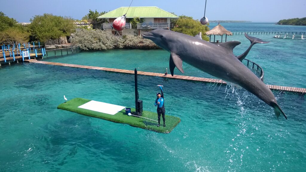 Tour Completo 5 Islas con Almuerzo Snorkel y Plancton Luminoso