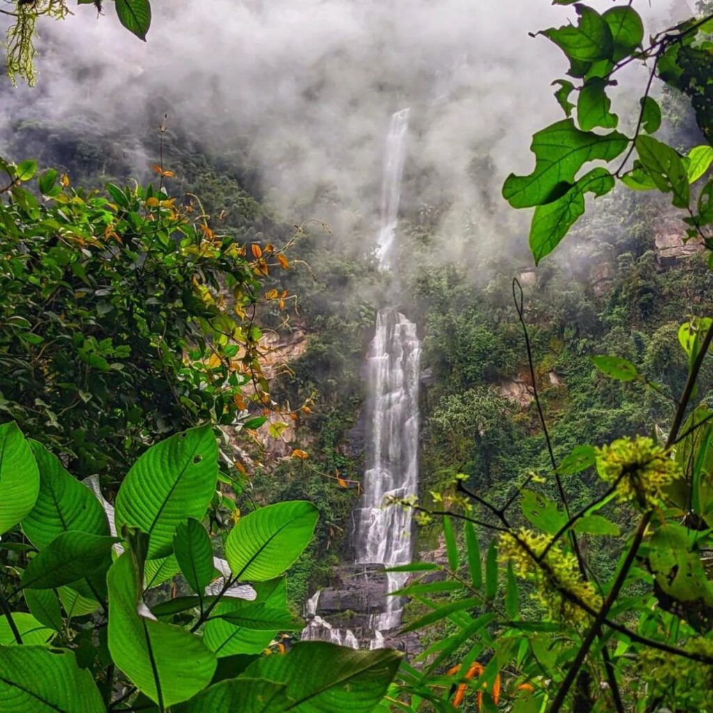 Caminata a La Chorrera: La Cascada Más Alta de Colombia