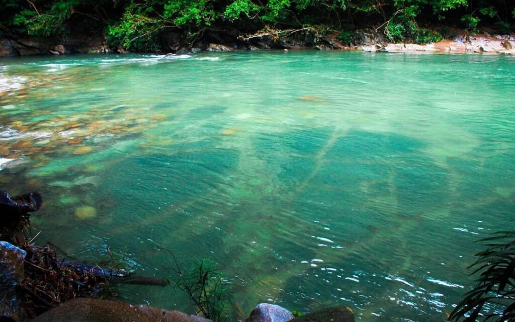 Tour Completo de Rafting en Rio Claro desde Medellin con almuerzo