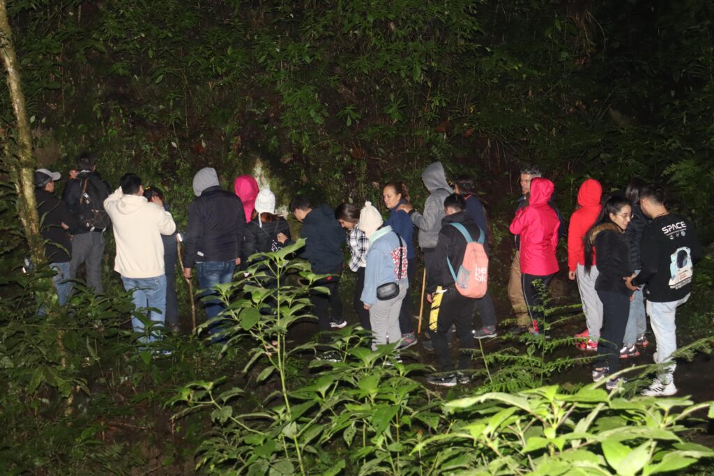 Aventura en el Parque Chicaque: Caminata y Naturaleza Pura