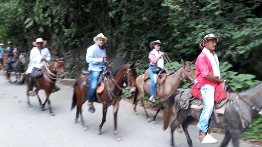 Excursion en Caballo y Tour del Cafe con Almuerzo y Refrigerio