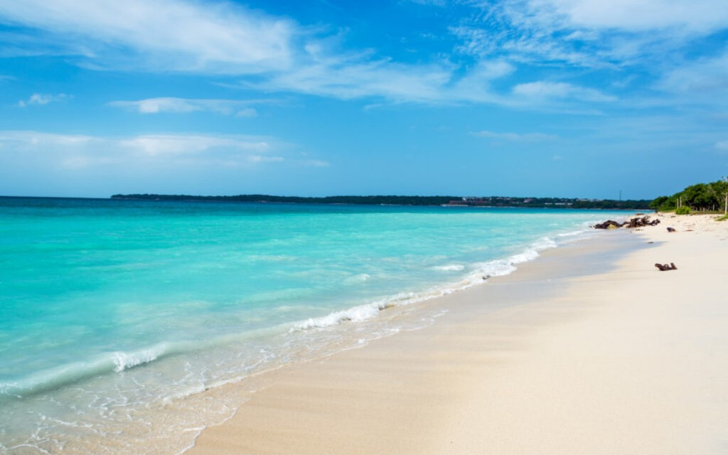 Tour Completo 5 Islas con Almuerzo Snorkel y Plancton Luminoso