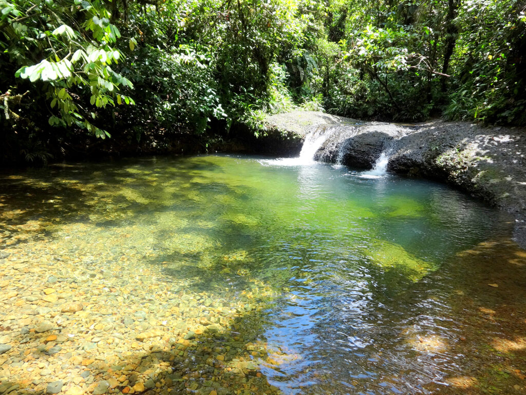 Tour completo al Paradisiaco Rio de San Cipriano con almuerzo