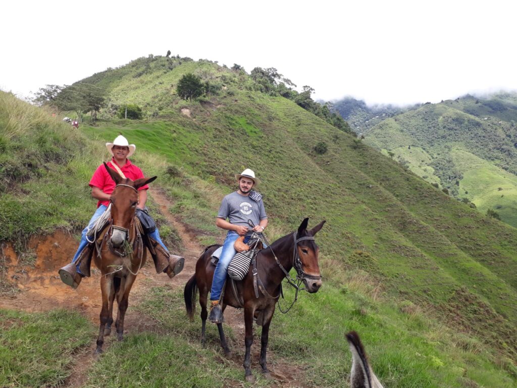 Excursion en Caballo y Tour del Cafe con Almuerzo y Refrigerio