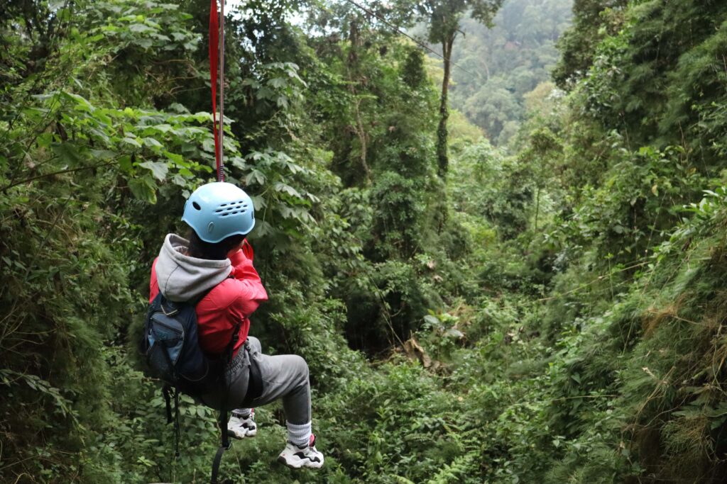 Aventura en el Parque Chicaque: Caminata y Naturaleza Pura