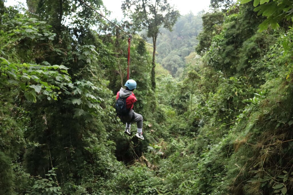Aventura en el Parque Chicaque: Caminata y Naturaleza Pura