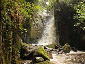 Tour a los Famosos Termales Salinas Pozo Azul en Coconuco
