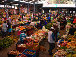 Tour al Mercado Indígena Misak en Silvia Cauca
