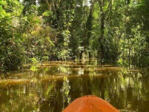 Super Combo extremo: Canopy + kayak en el Rio Amazonas