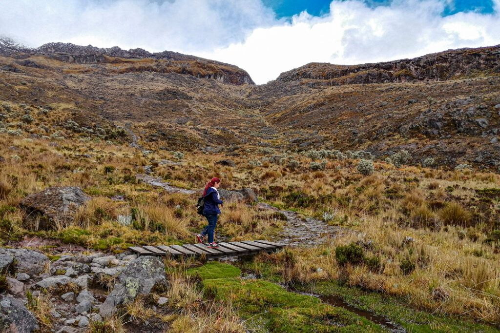 Excursion de Alta Montaña al Sendero Conejeras desde Pereira