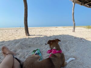 Día Completo  en las Playa Tranquila de Mayapo en La Guajira