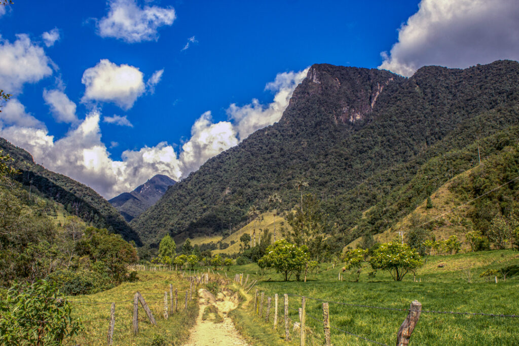 Tour Dia Completo a Salento y Valle del Cocora desde Pereira