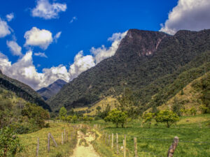 Tour Dia Completo a Salento y Valle del Cocora desde Pereira