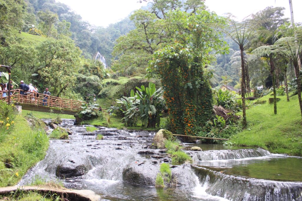 Experiencia de Café y termales de Santa Rosa