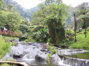 Experiencia de Café y termales de Santa Rosa