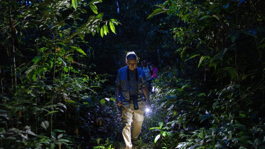 Canopy Extremo + Sendero Nocturno – Aventura Amazónica Total