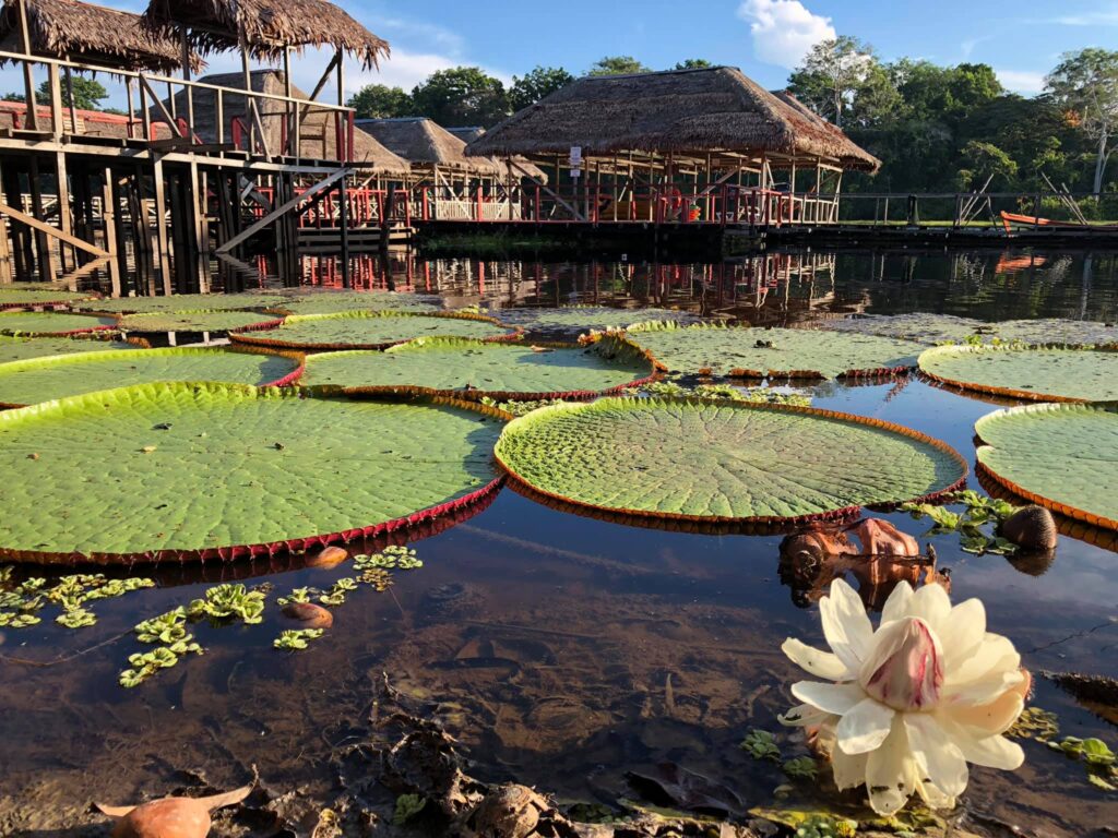 Full Day Mundo Amazónico – Cultura y Naturaleza