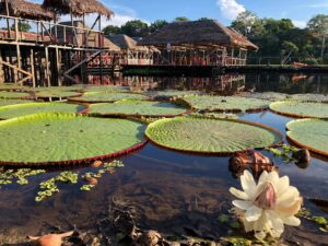 Full Day Mundo Amazónico – Cultura y Naturaleza